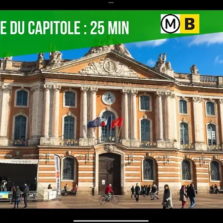 Le Loft Geek Lejlighed Toulouse